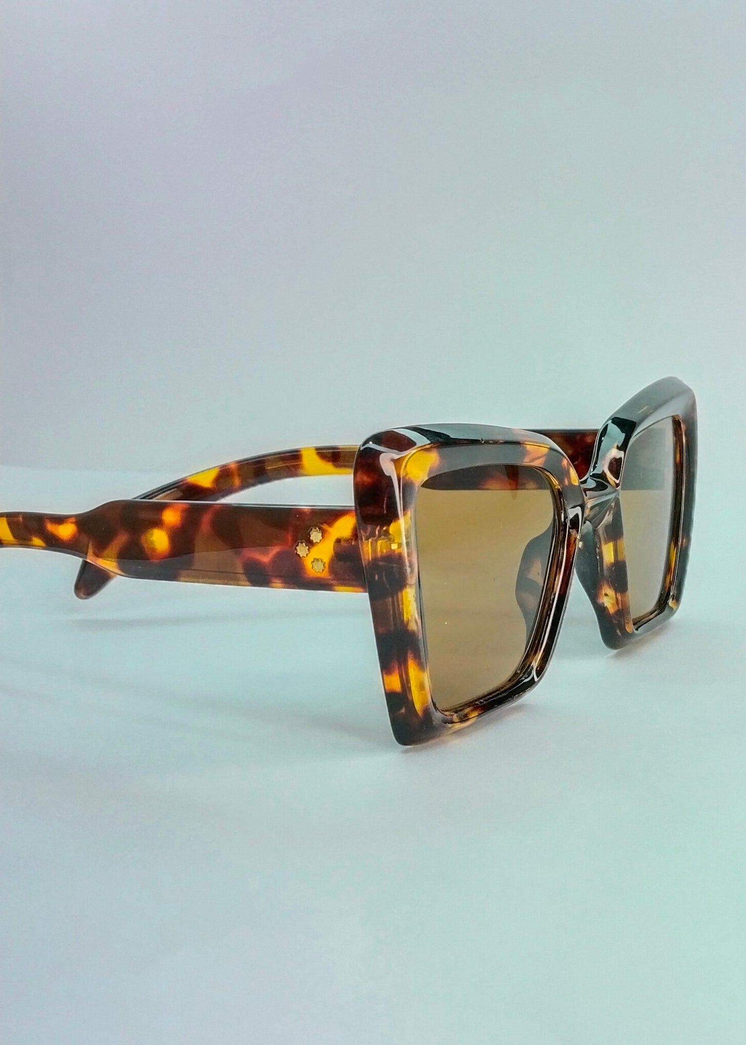 Luxury Women Oversized Square Tortoise Sunglasses