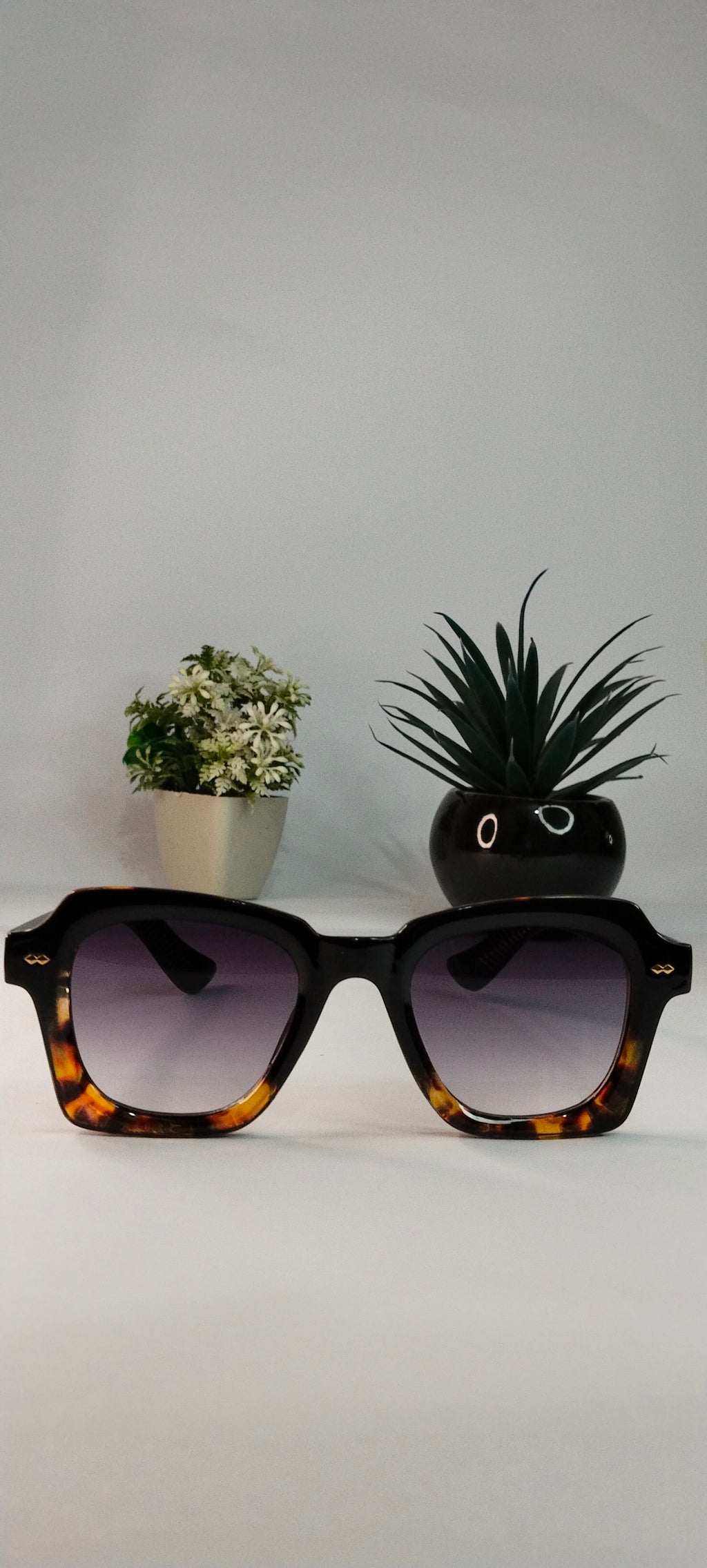 Studio 70 Noir