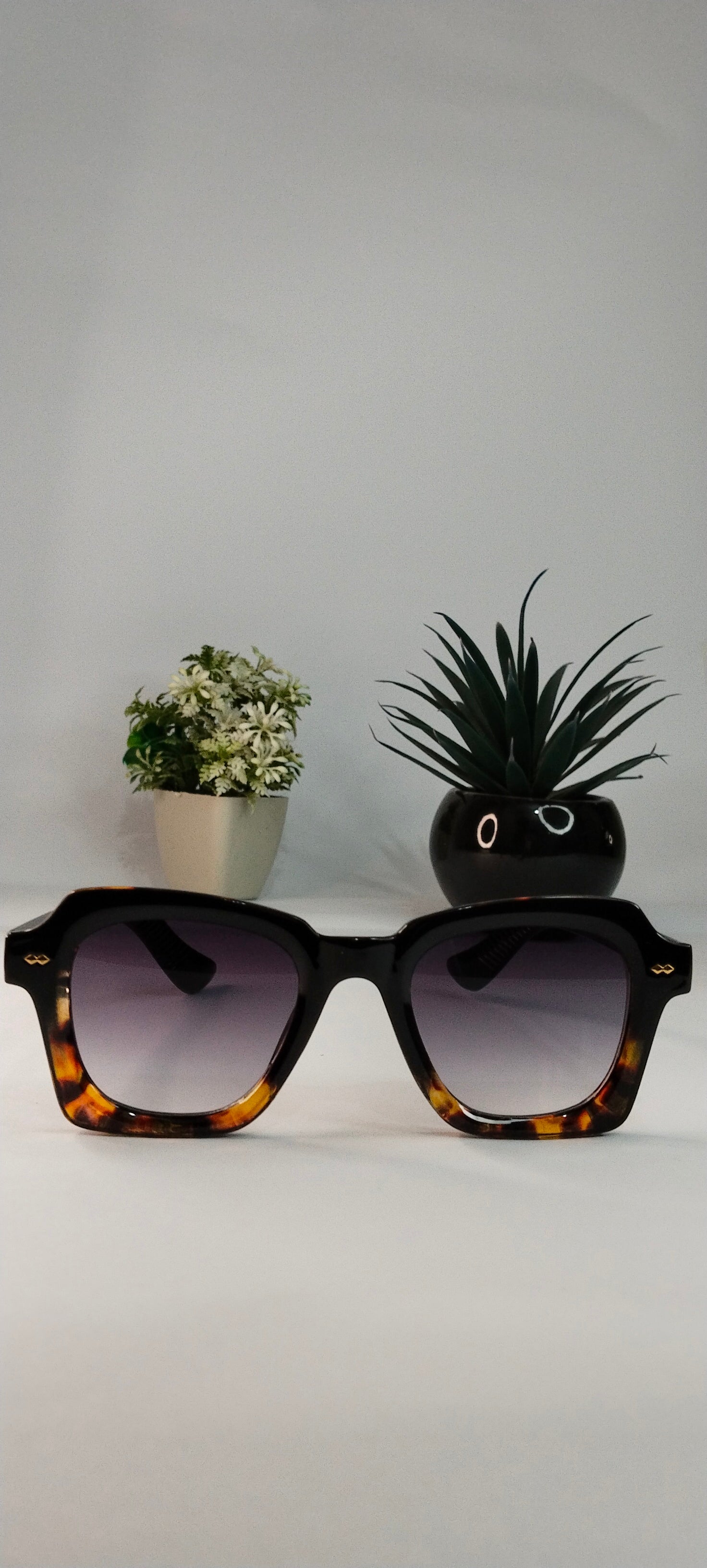 Studio 70 Noir